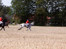 IMG_8505_web
